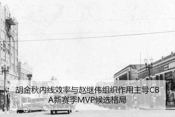 hu-jin-qiu-nei-xian-xiao-lv-yu-zhao-ji-wei-zu-zhi-zuo-yong-zhu-dao-xin-sai-ji-hou-xuan-ge-ju-3-967.jpg