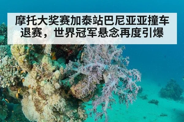 摩托大奖赛加泰站巴尼亚亚撞车退赛，世界冠军悬念再度引爆